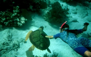 Du lịch Đà Nẵng - Sơn Trà - Bà Nà - Cù Lao Chàm - Hội An Du lịch Đà Nẵng - Sơn Trà - Bà Nà - Cù Lao Chàm - Hội An